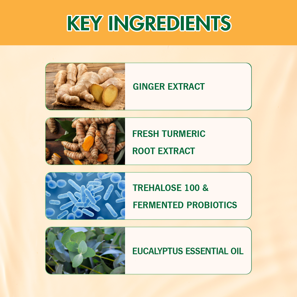 Ginger & Turmeric Herbal Body Wash – Co Cay Hoa La (500g)