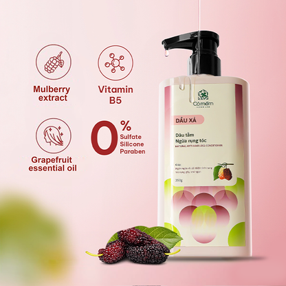 Mulberry Hair Conditioner for Hair Loss Prevention - CoMem